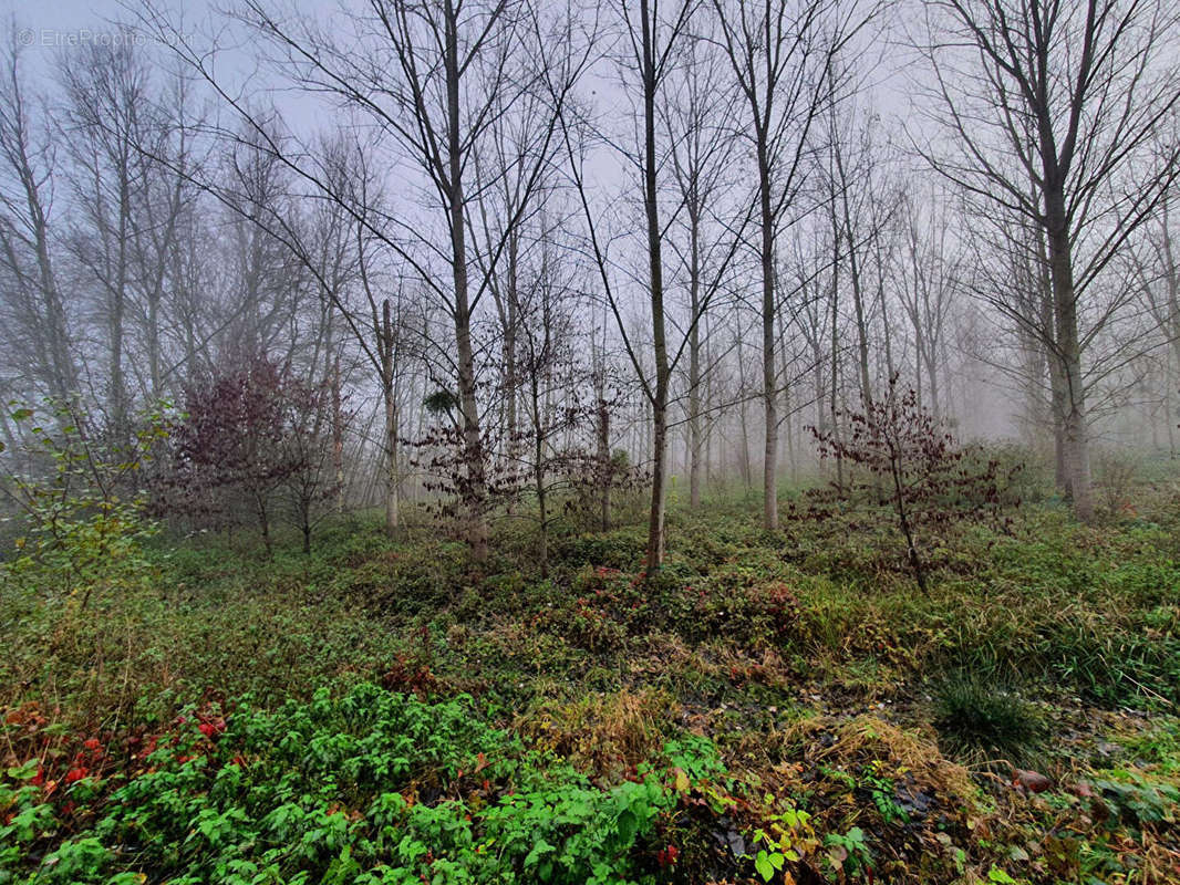 Terrain à BRISSY-HAMEGICOURT