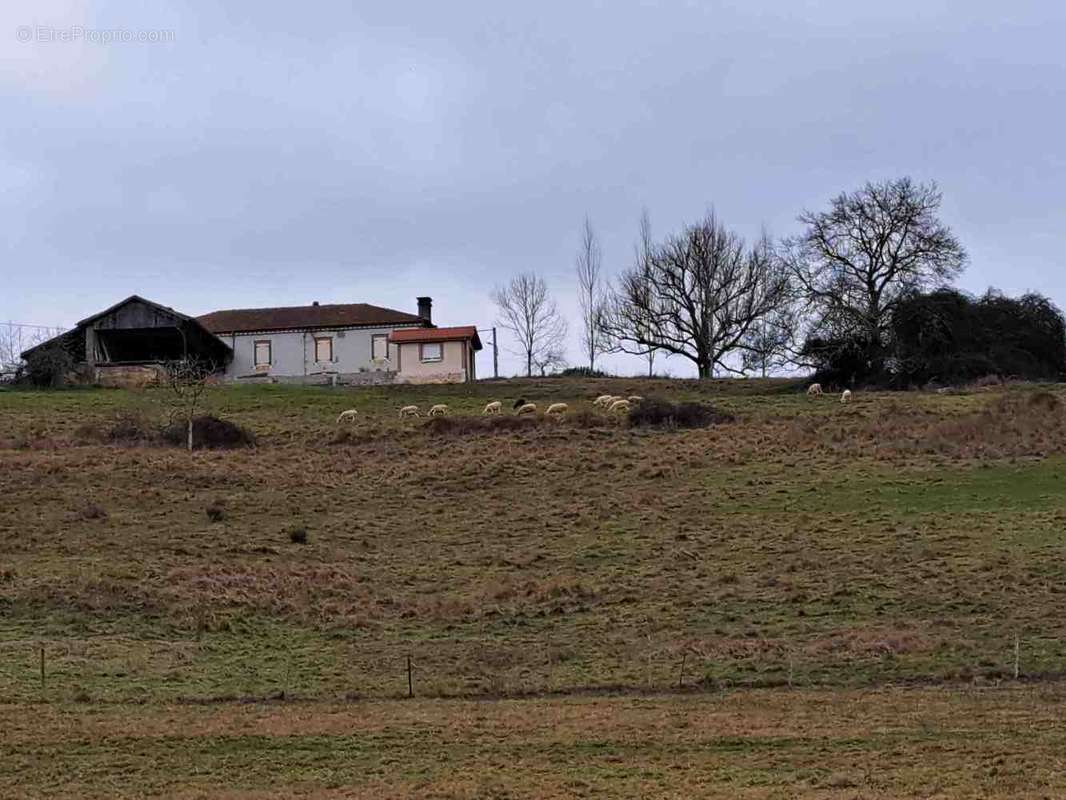 Maison à BOULOGNE-SUR-GESSE