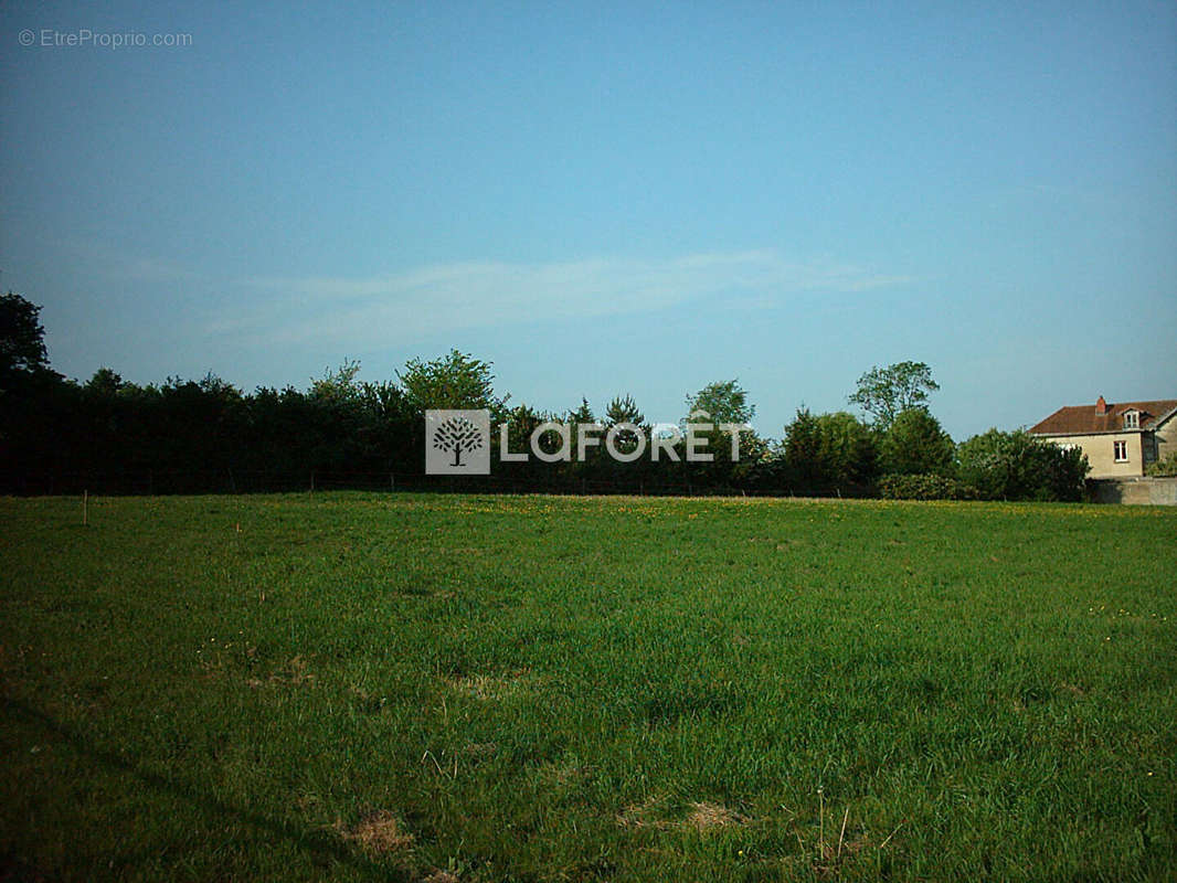 Terrain à SAINT-PAUL-DE-VARAX