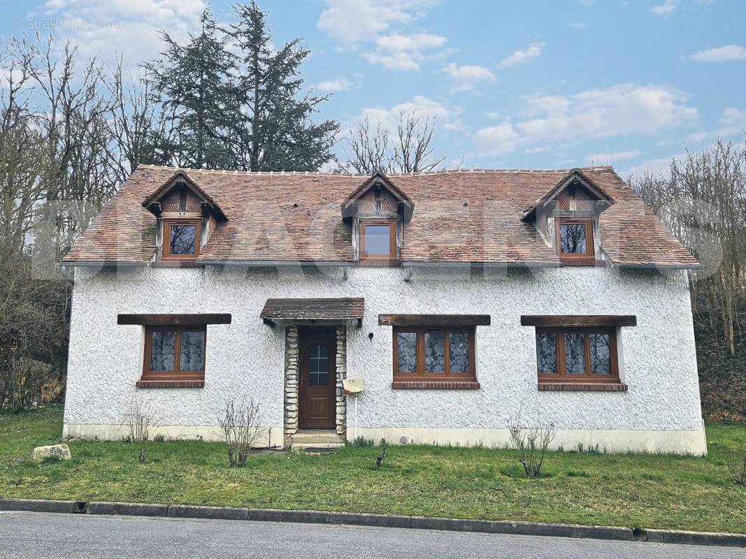 Fond bleu - Maison à FONTENAY-SUR-LOING