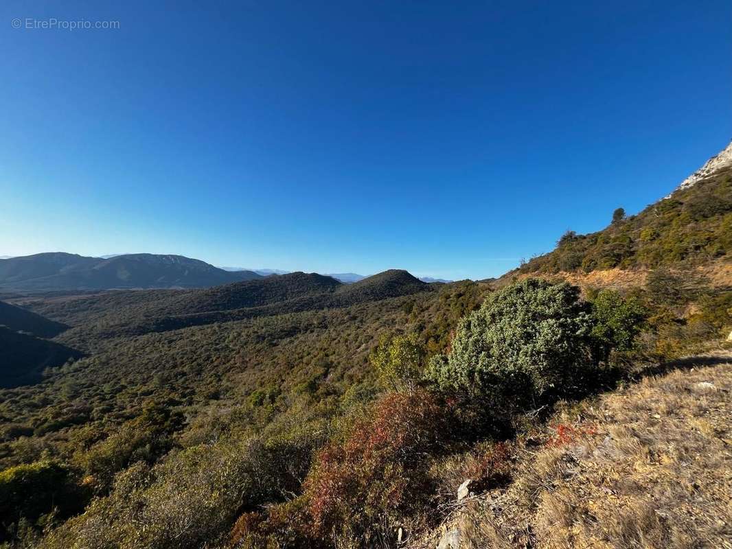   - Terrain à MAURY