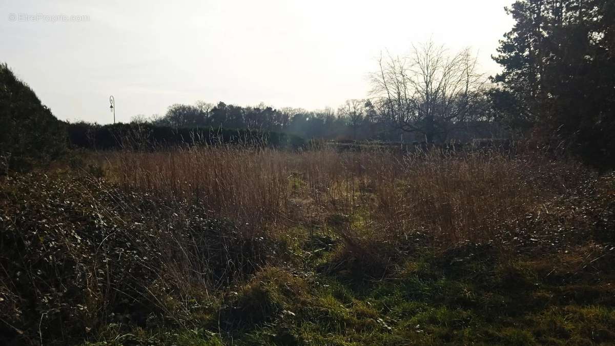 Terrain à SAINT-PAUL-DE-FOURQUES