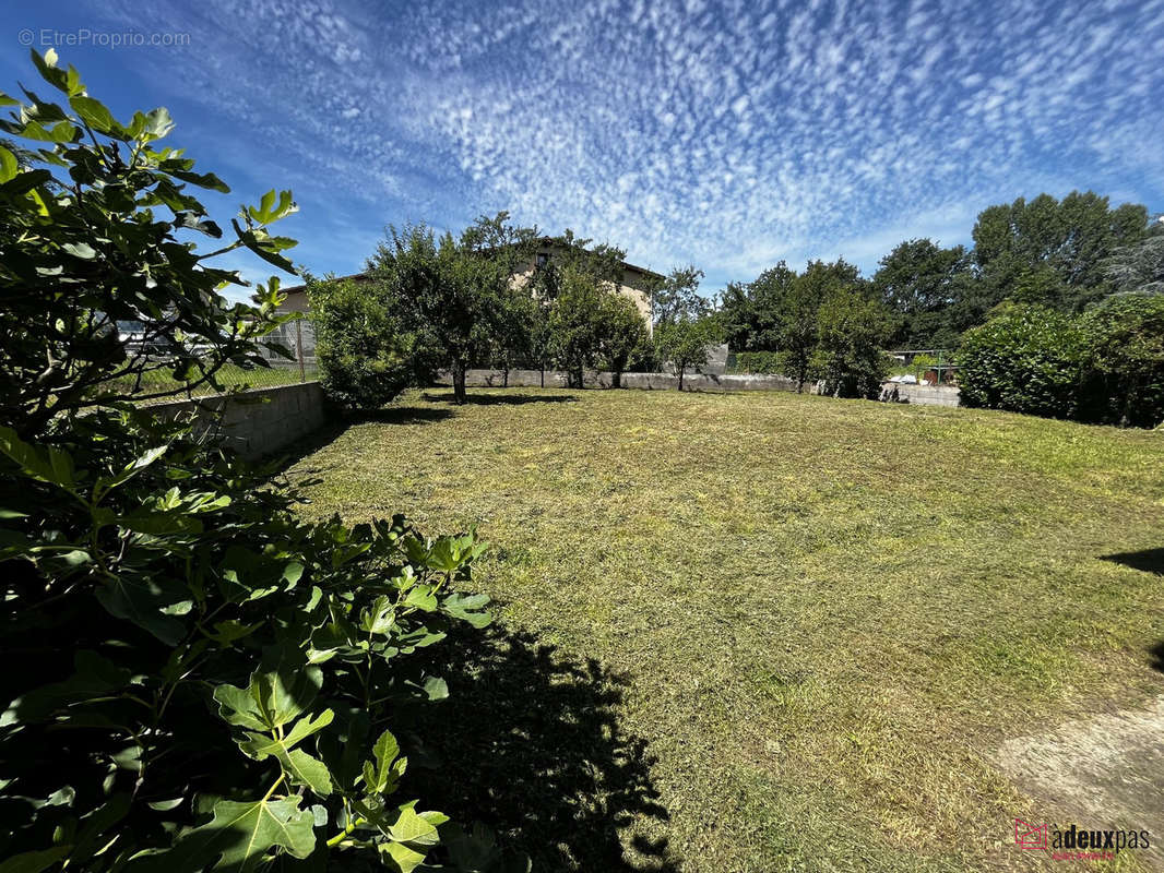 Maison à BAS-EN-BASSET