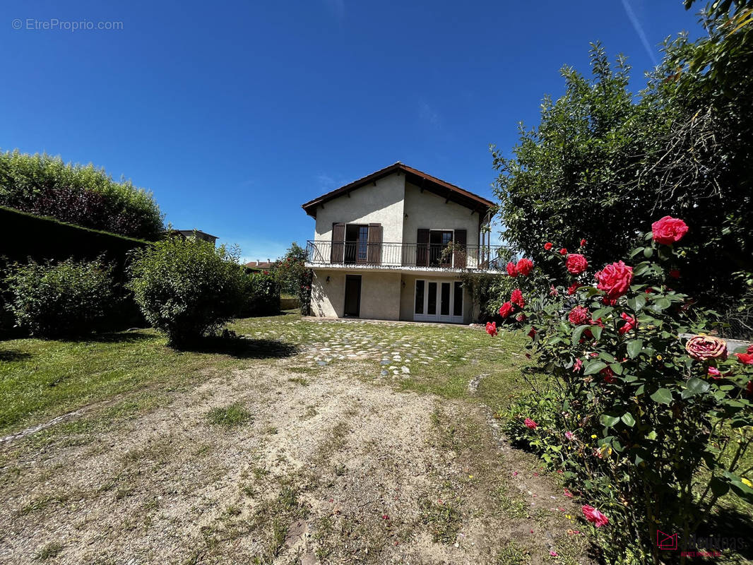 Maison à BAS-EN-BASSET