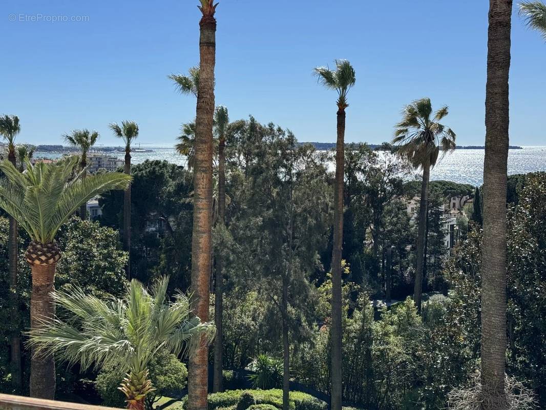 Appartement à CANNES