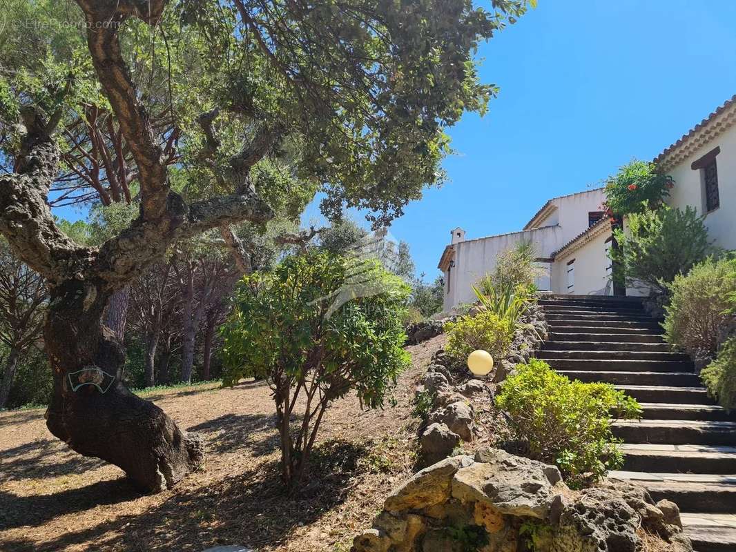 Maison à ROQUEBRUNE-SUR-ARGENS