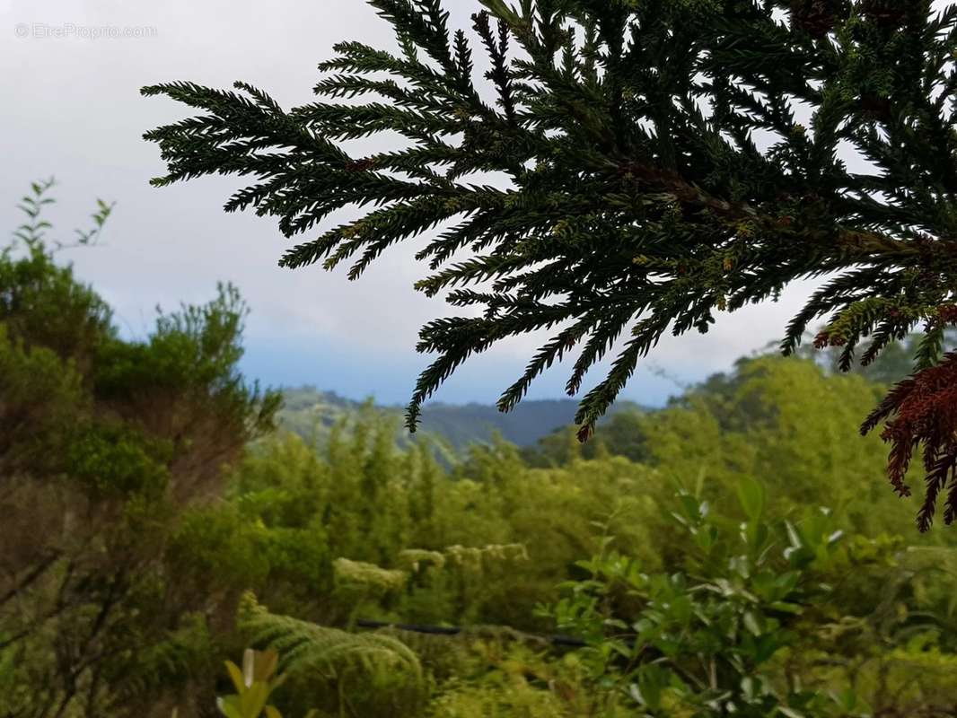 Terrain à SAINT-DENIS