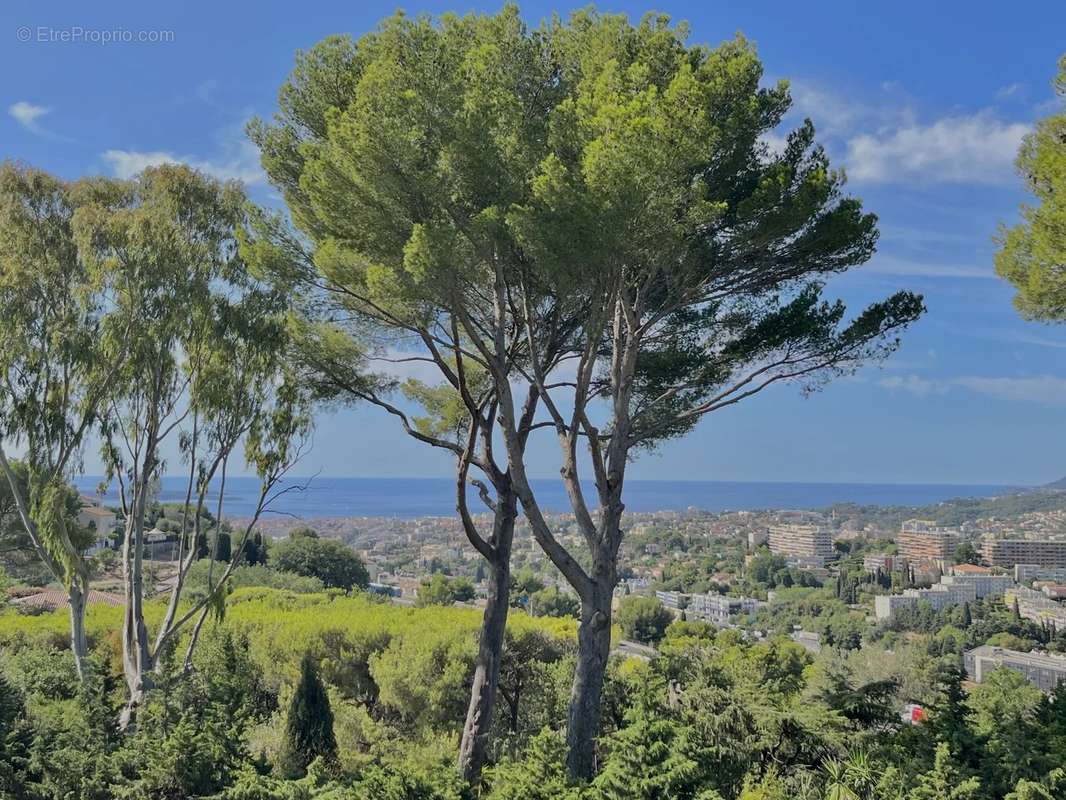 Maison à MOUGINS