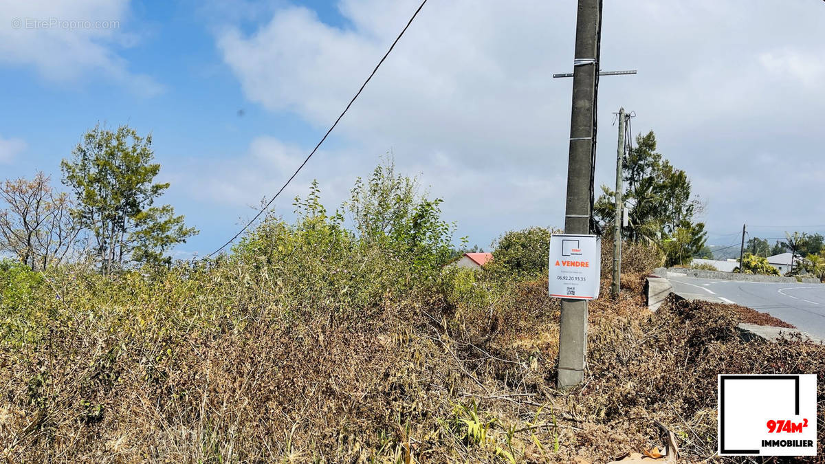 Terrain à LE TAMPON