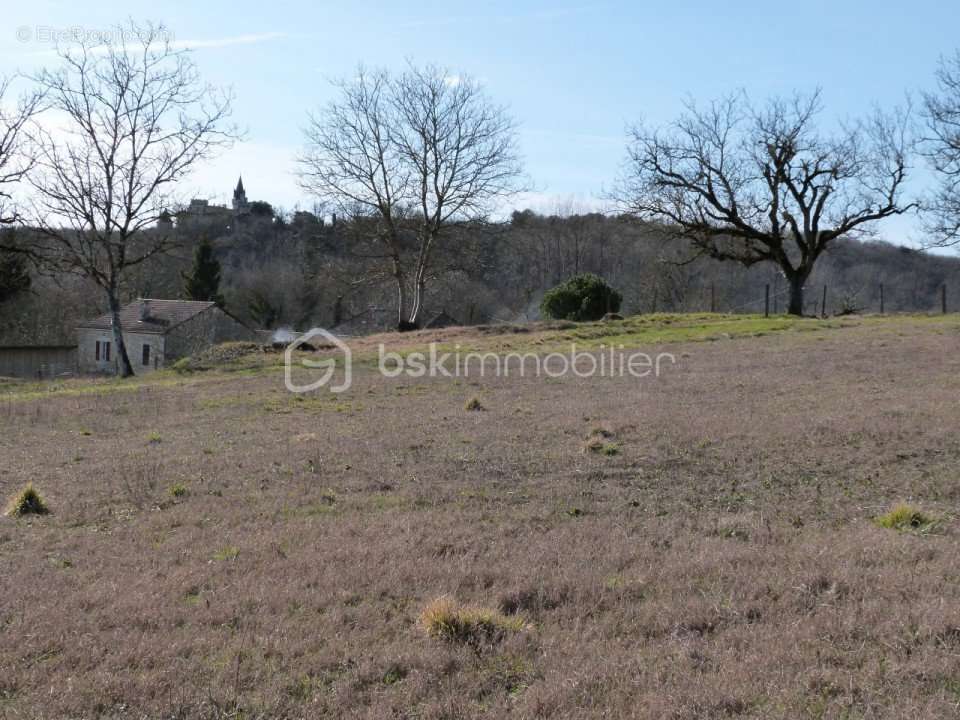 Terrain à PAUSSAC-ET-SAINT-VIVIEN