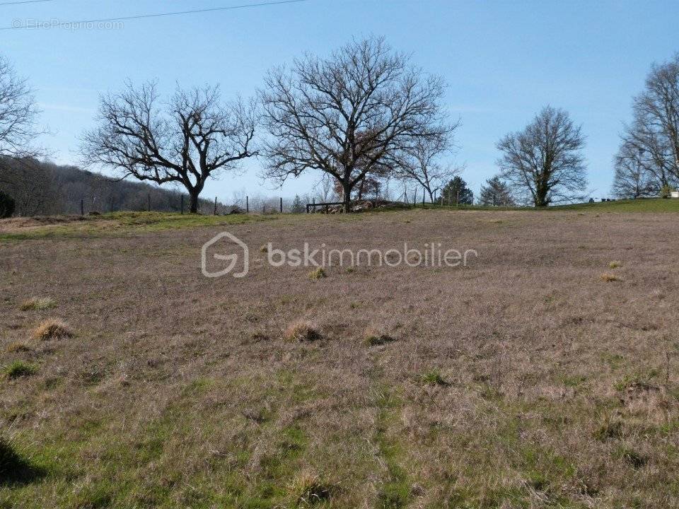 Terrain à PAUSSAC-ET-SAINT-VIVIEN