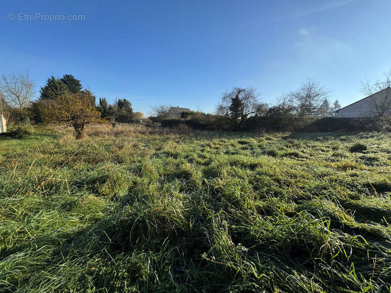 Terrain à LES RAIRIES