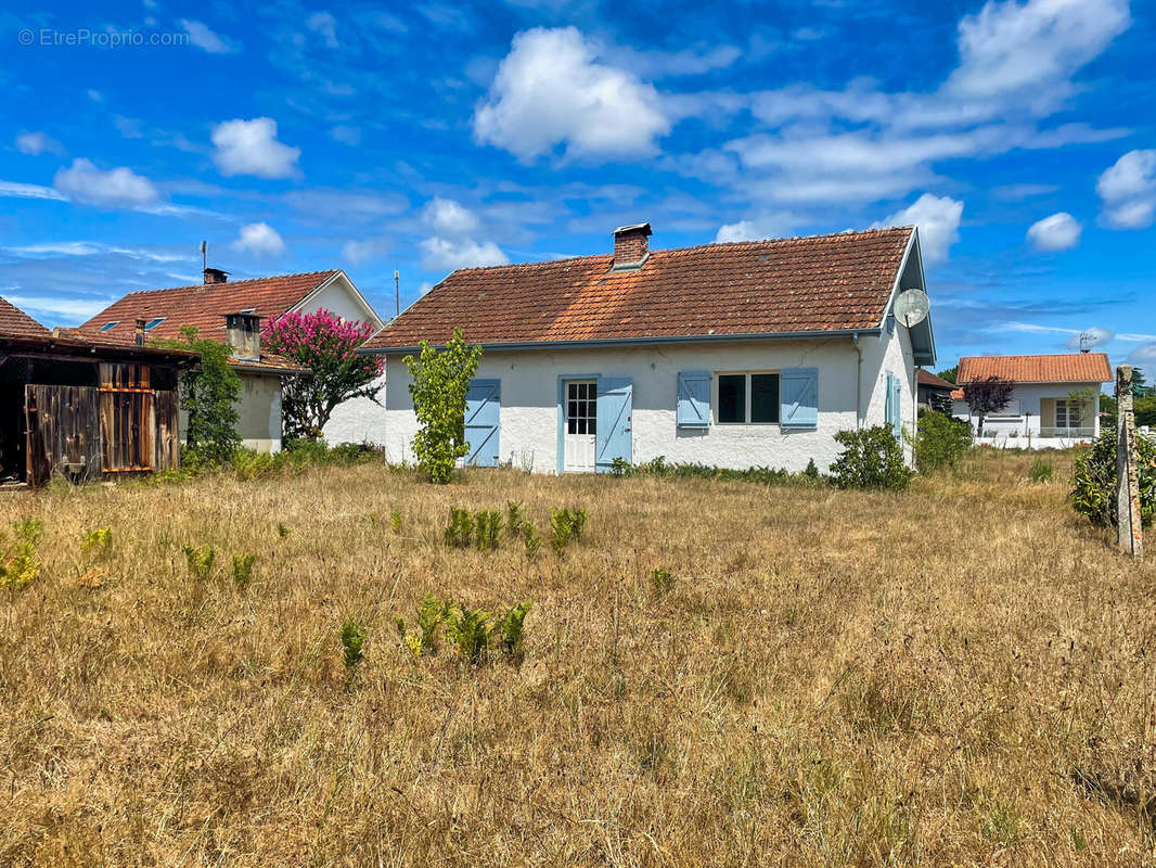 Photo 2 - Maison à SAINT-JULIEN-EN-BORN