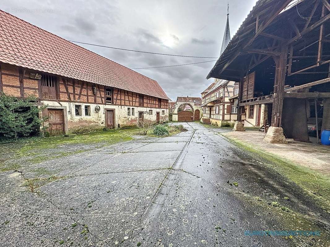 Maison à NIEDERSCHAEFFOLSHEIM