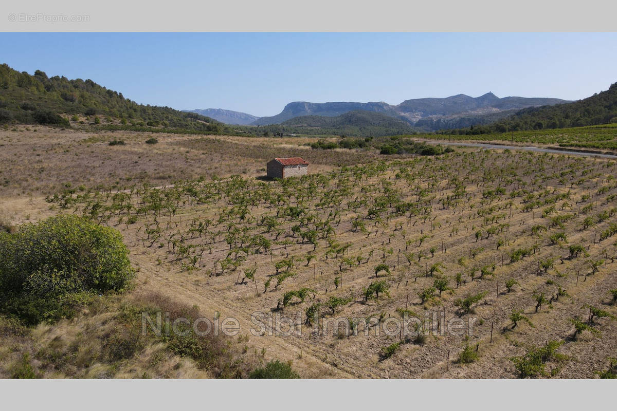 Terrain à TAUTAVEL