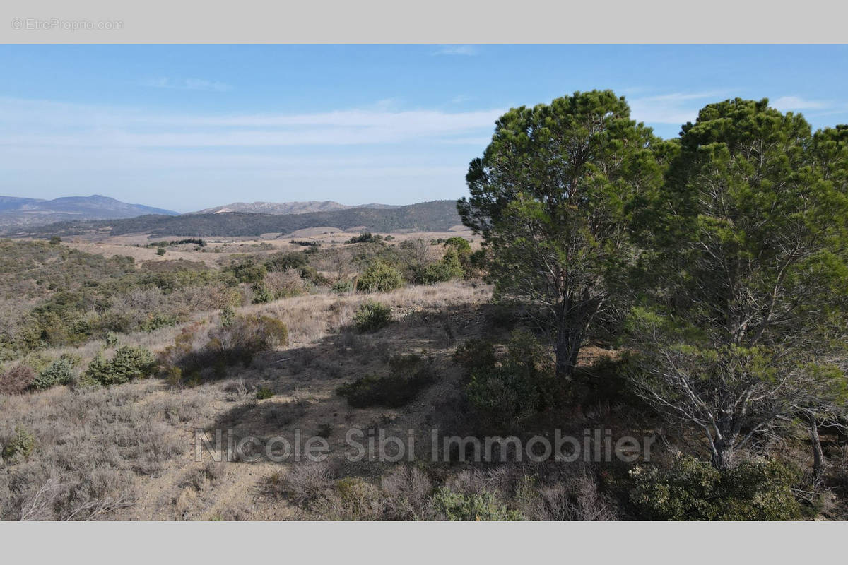 Terrain à MONTNER