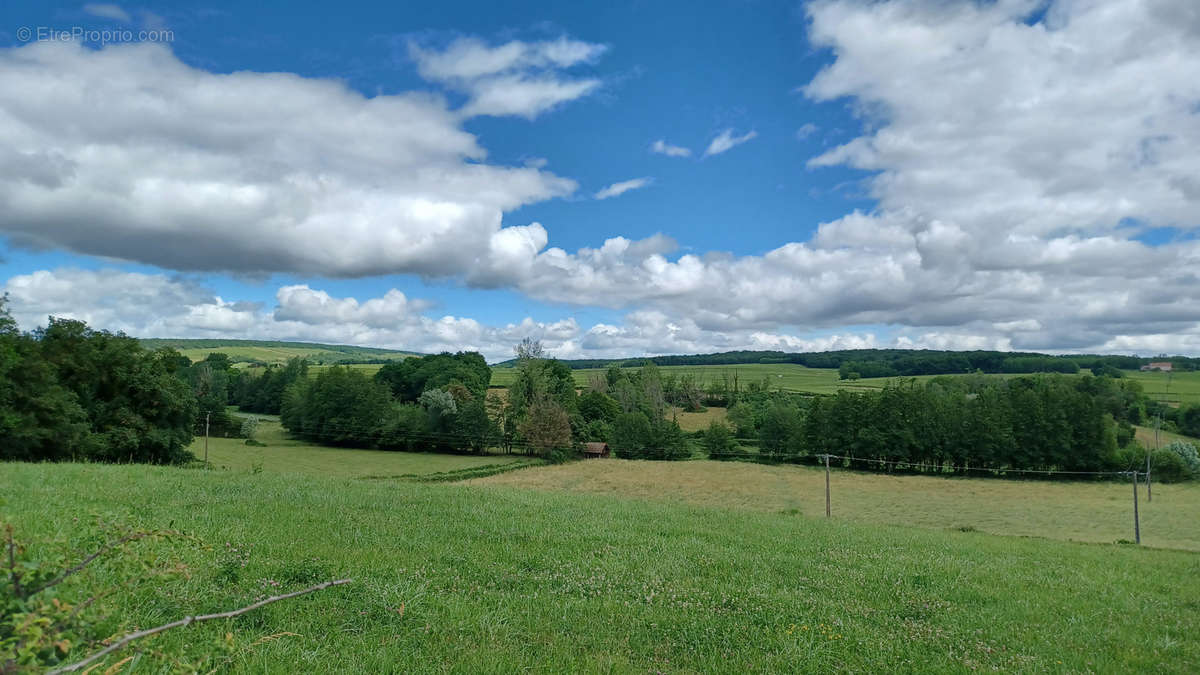 Terrain à LUGNY