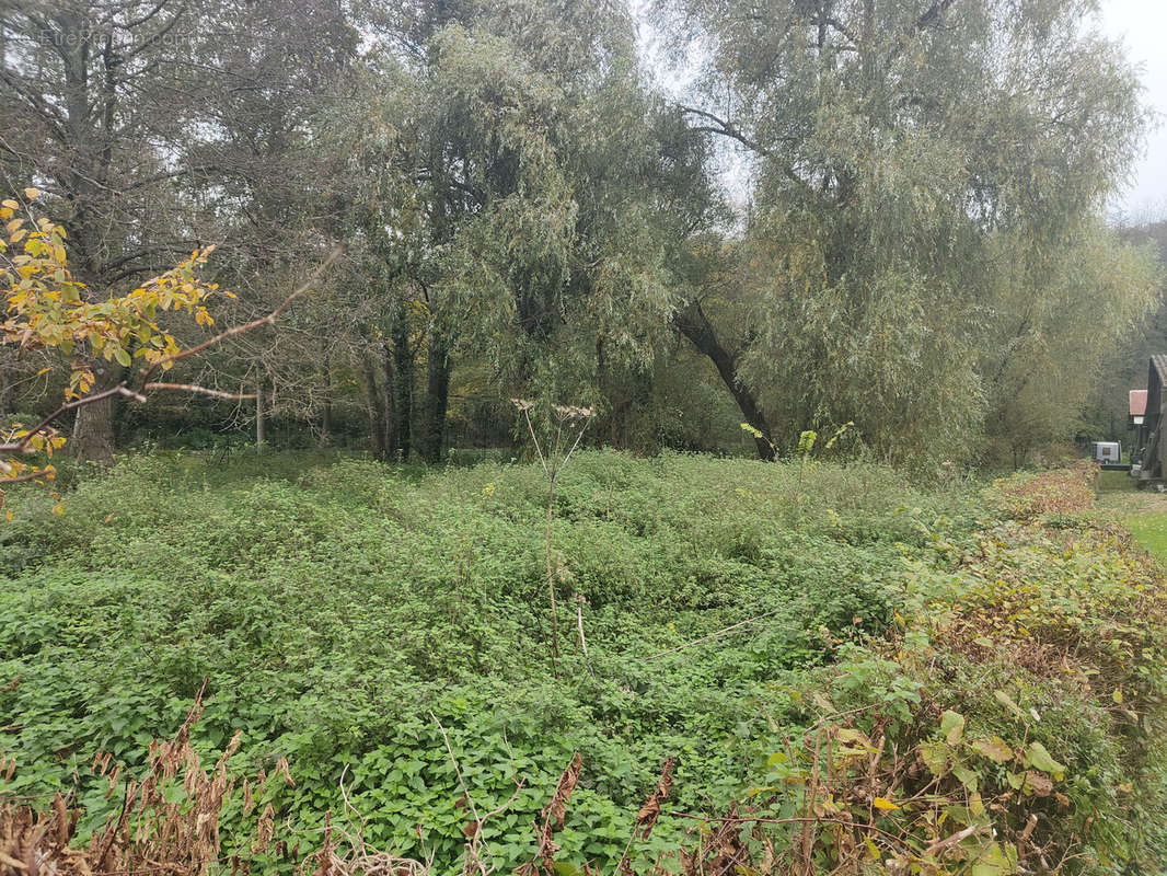 Terrain à LACHAPELLE-AUX-POTS