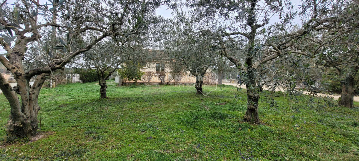 Maison à BEAUCAIRE