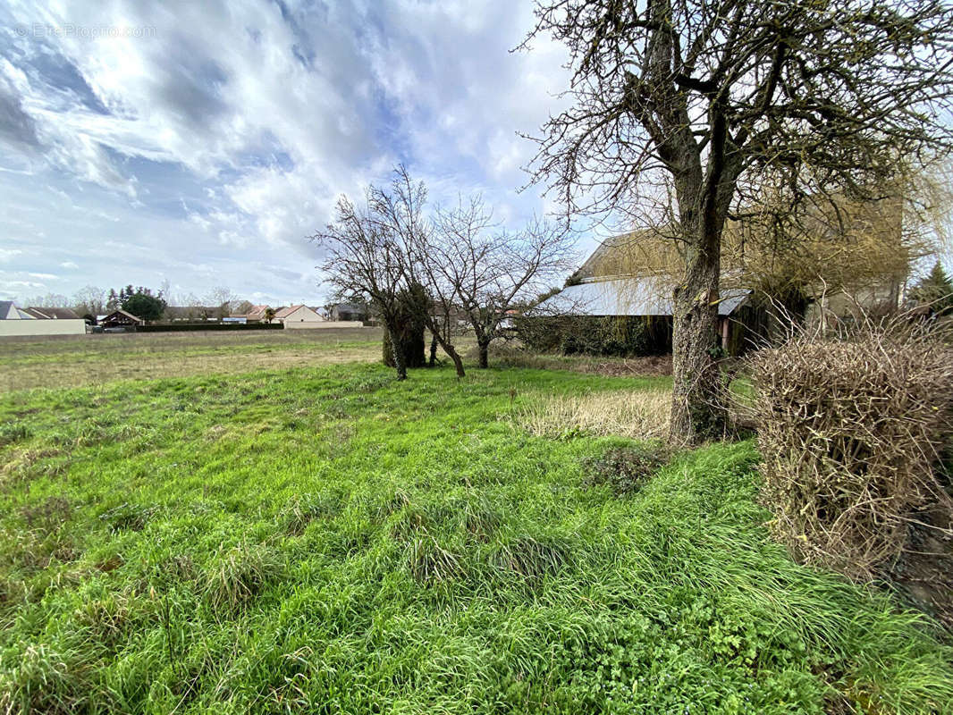 Terrain à BRIOU