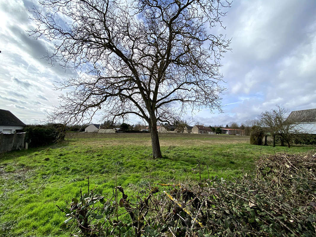 Terrain à BRIOU