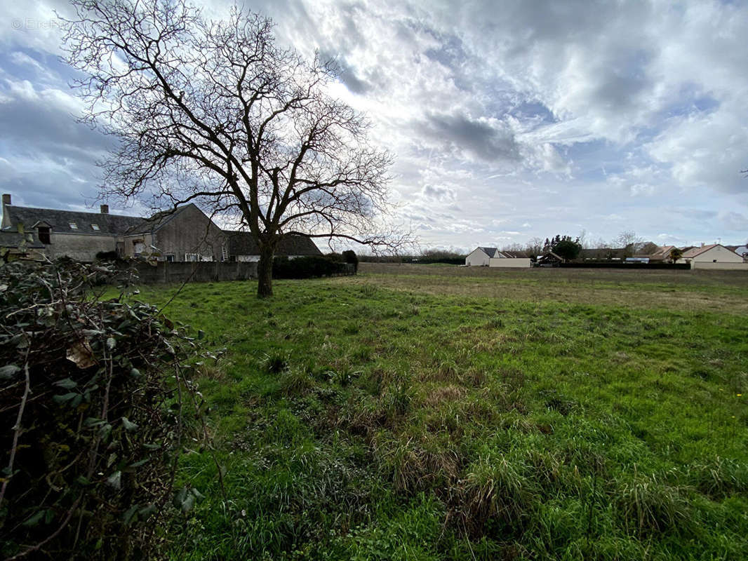 Terrain à BRIOU