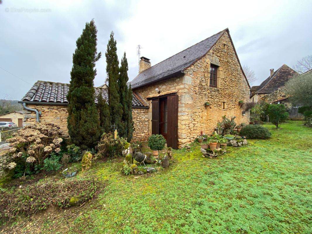 Maison à LE BUISSON-DE-CADOUIN