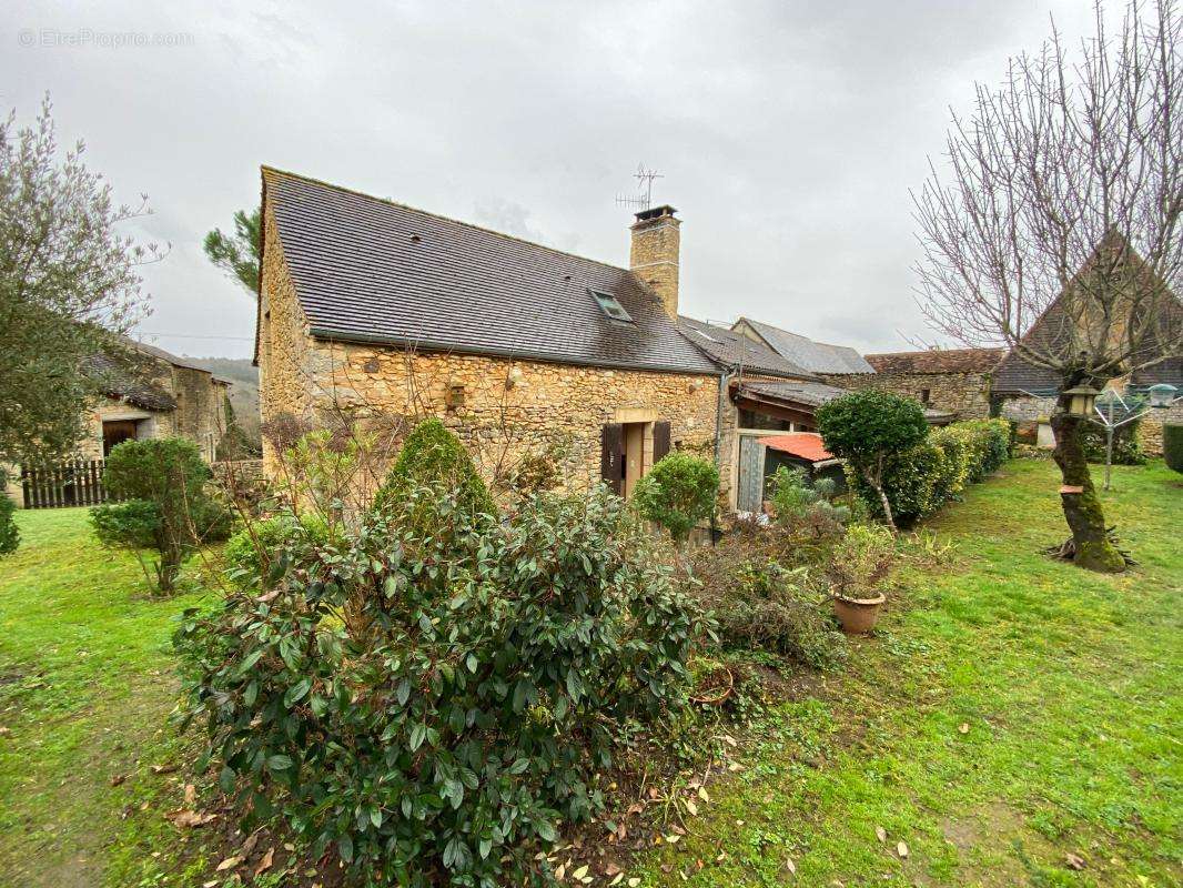 Maison à LE BUISSON-DE-CADOUIN