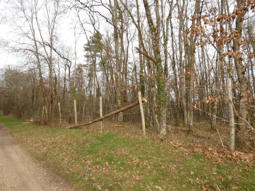 Terrain à OUZOUER-SUR-LOIRE