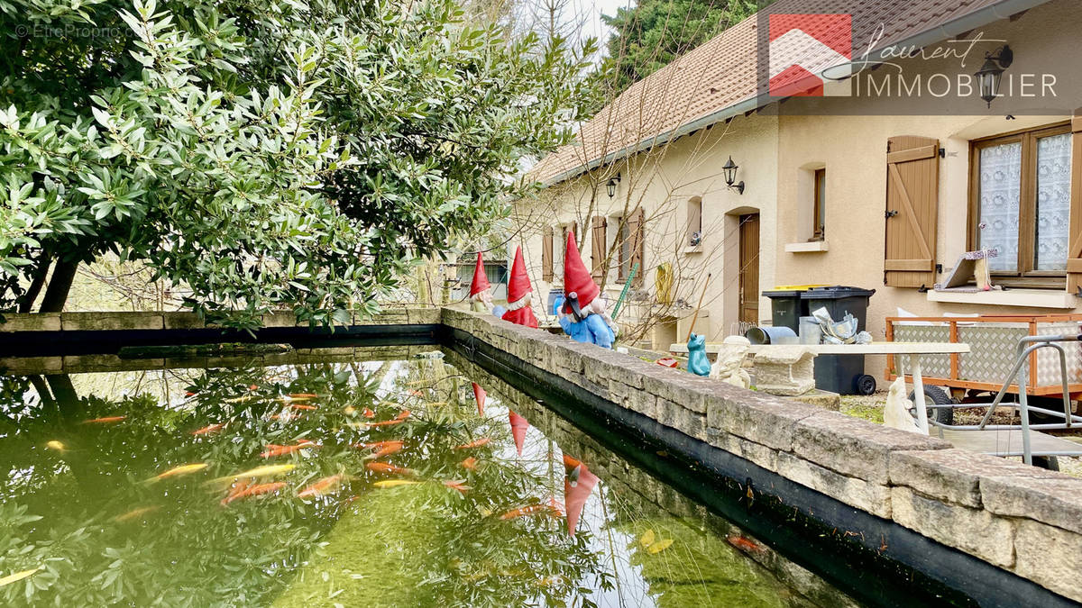 Maison à MONTPONT-EN-BRESSE