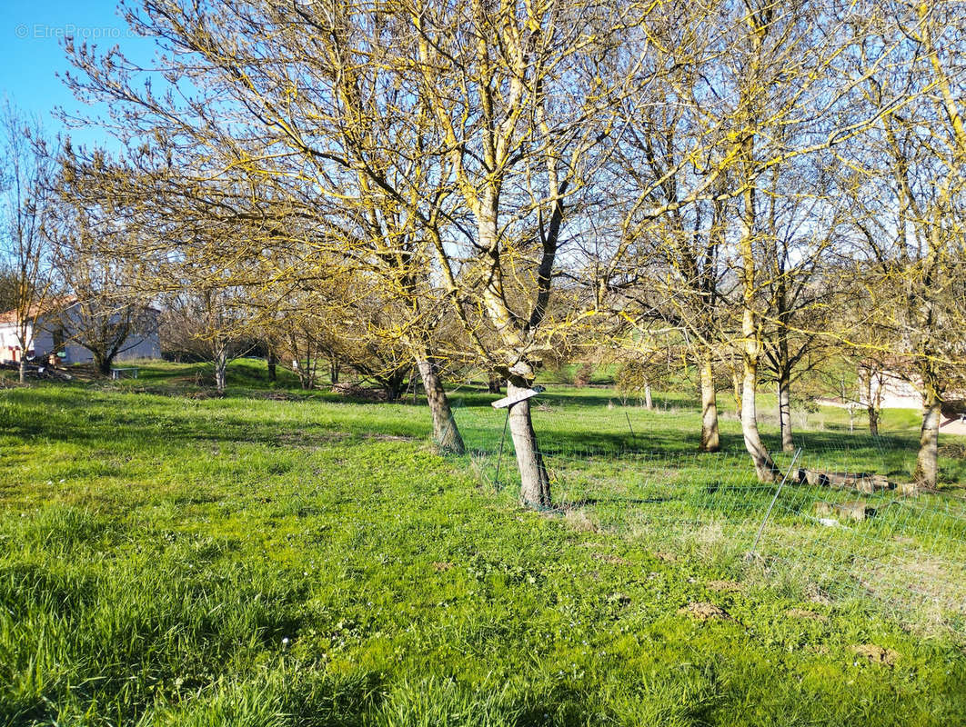 Terrain à CARAMAN