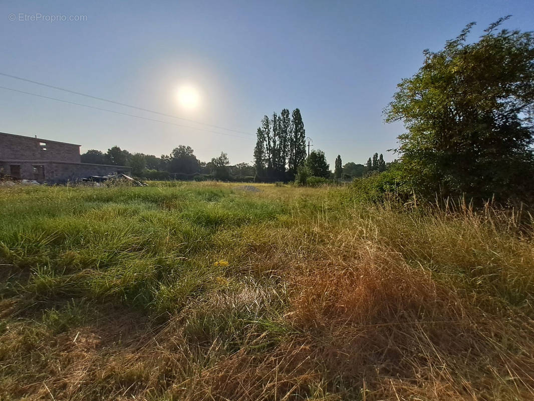 Terrain à SAINT-SEVER-DE-SAINTONGE