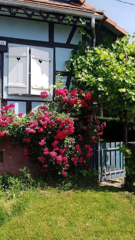 Maison à SURBOURG