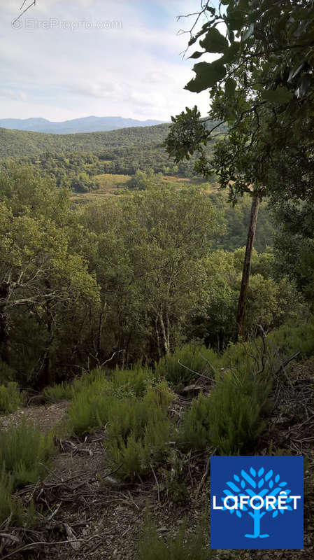 Terrain à MONTBOLO