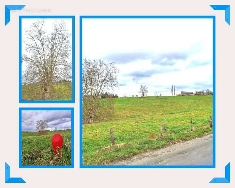 Terrain à MALEMORT-SUR-CORREZE