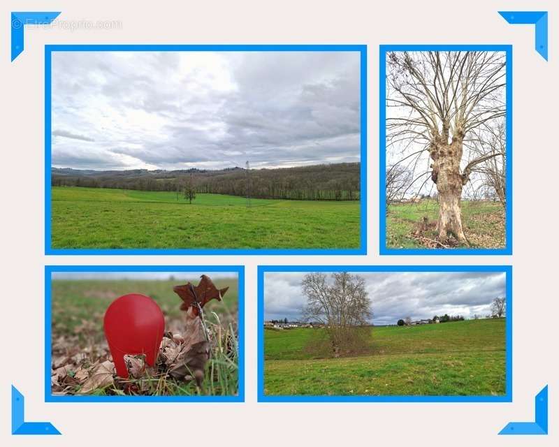 Terrain à MALEMORT-SUR-CORREZE