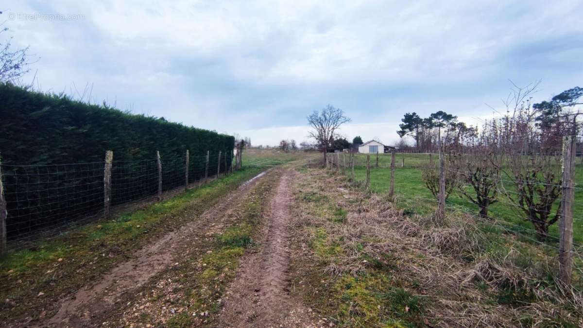 Terrain à MONTPON-MENESTEROL