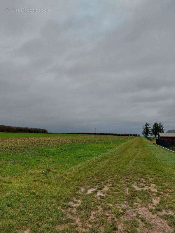 Terrain à BRECY