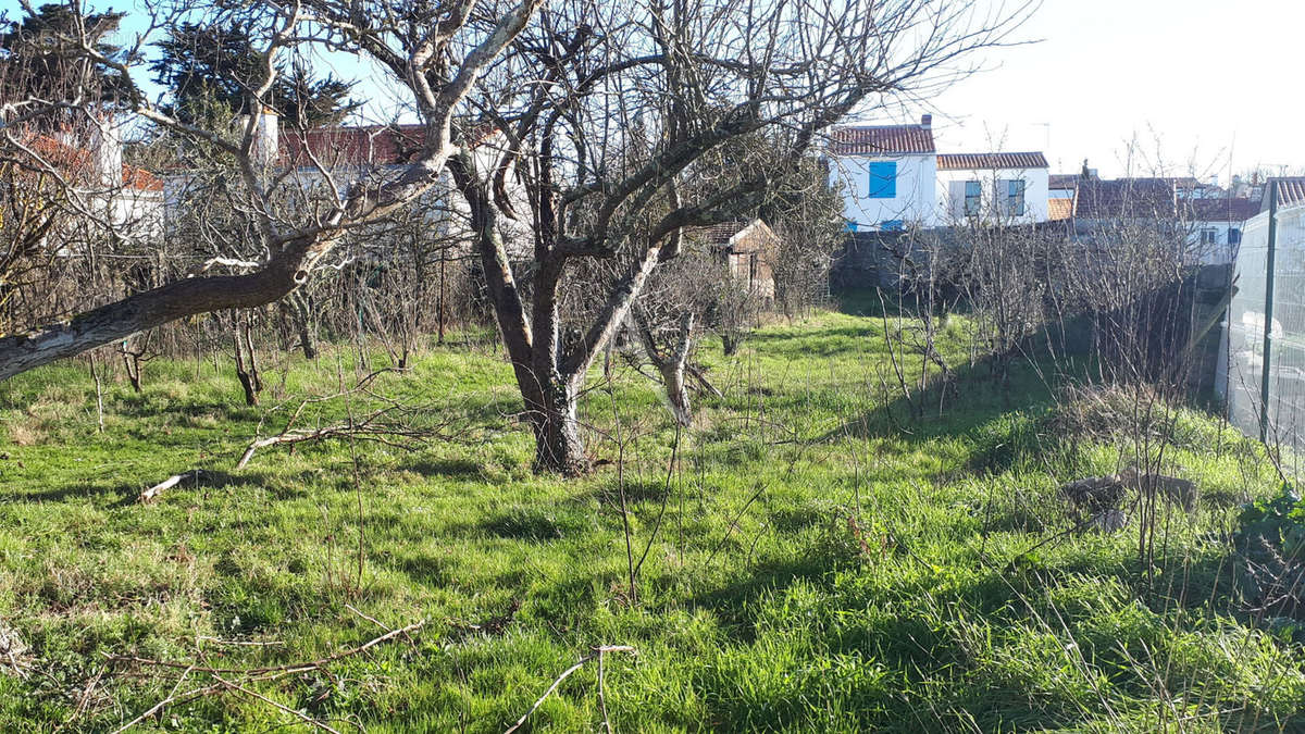 Terrain à LA GUERINIERE