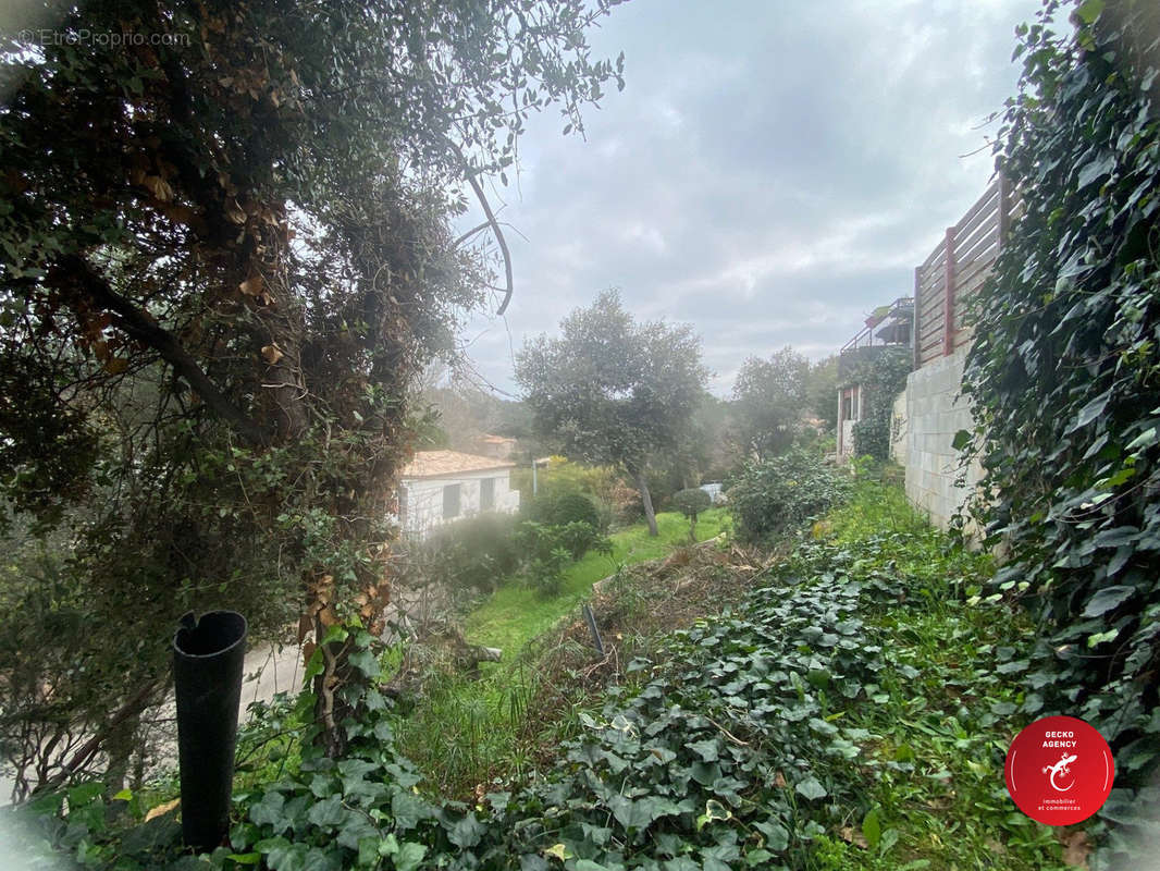 Terrain à PUGET-SUR-ARGENS