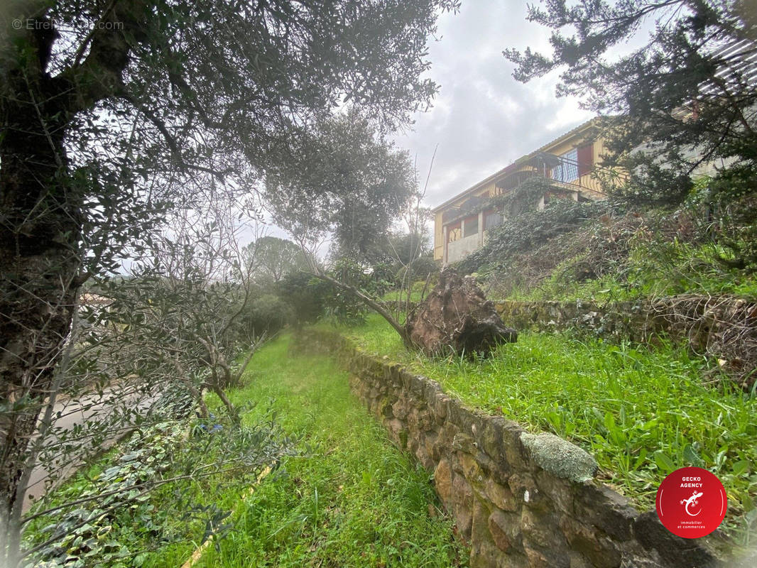 Terrain à PUGET-SUR-ARGENS