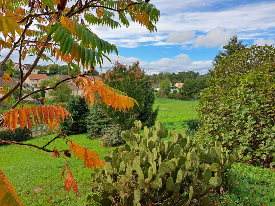 Terrain à USSAC