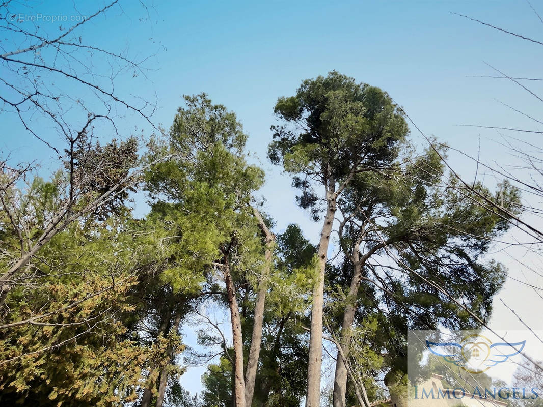 Terrain à MONTPELLIER