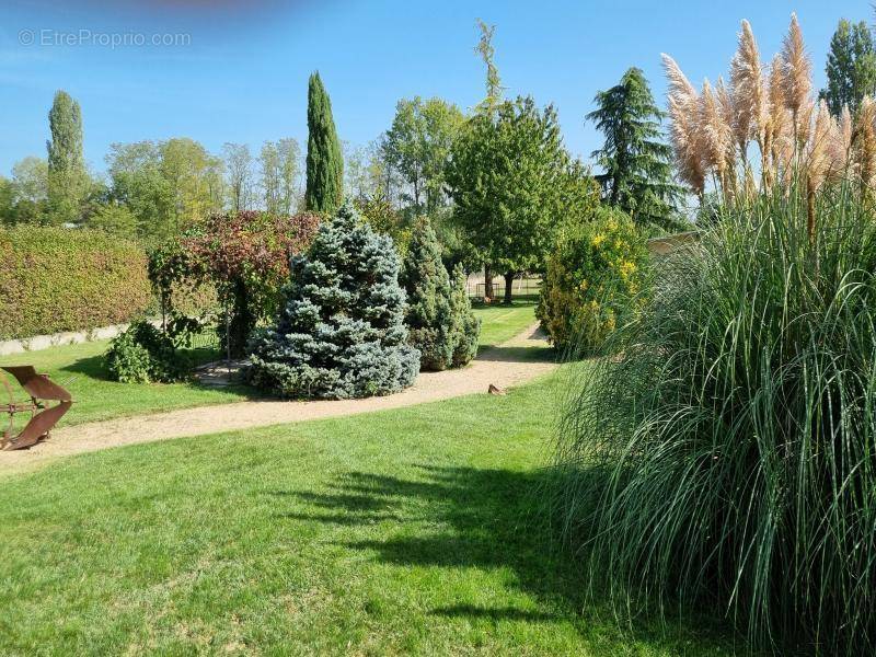 Maison à DECINES-CHARPIEU