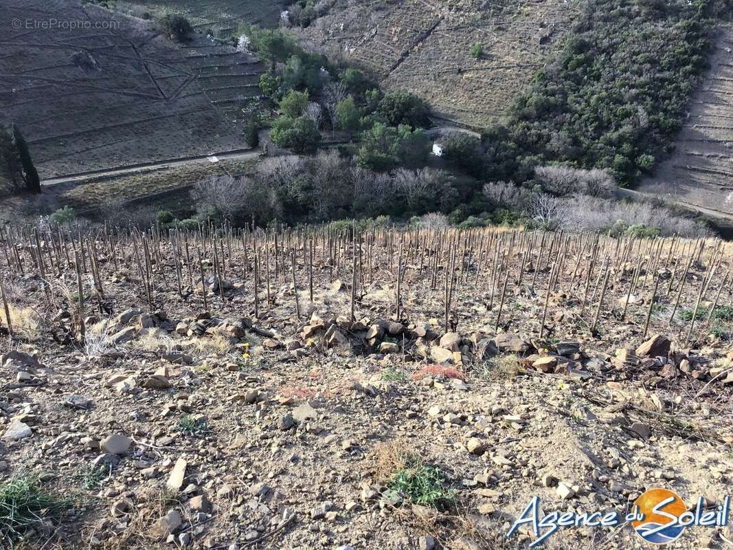 Terrain à BANYULS-SUR-MER