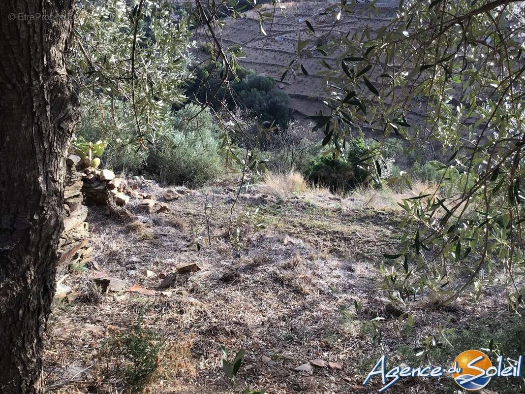 Terrain à BANYULS-SUR-MER