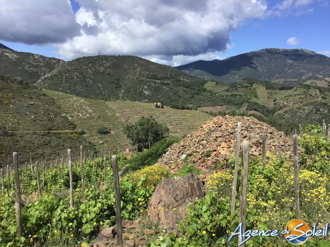 Terrain à BANYULS-SUR-MER