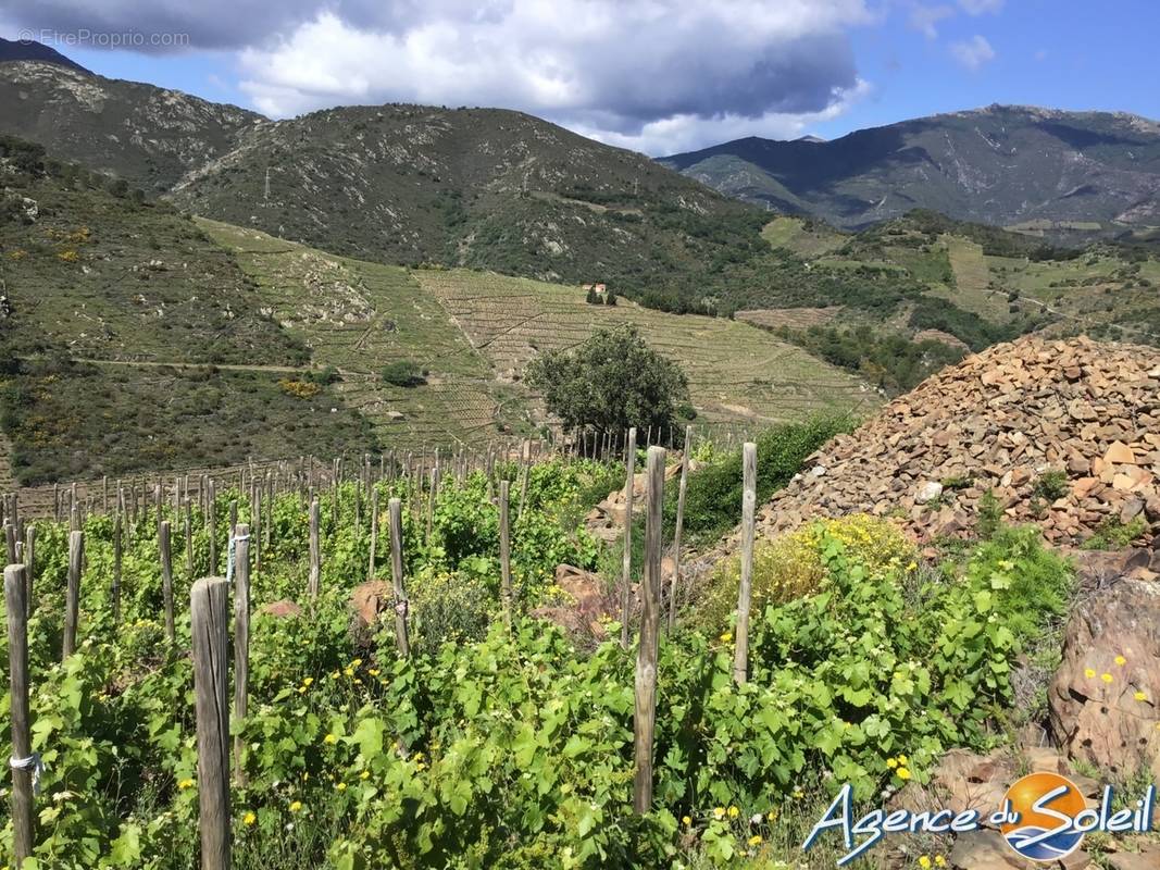 Terrain à BANYULS-SUR-MER