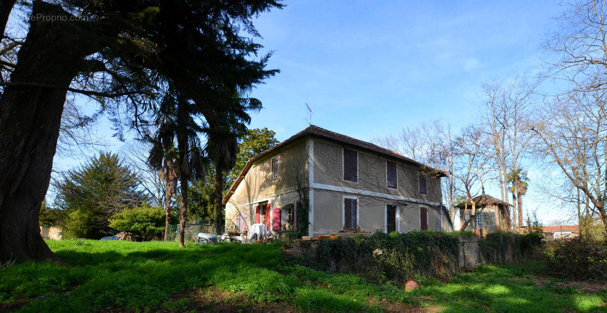 DSC_0073 - Maison à EAUZE