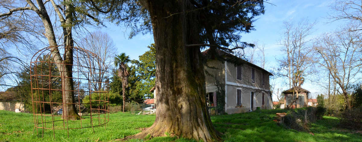 DSC_0078 - Maison à EAUZE